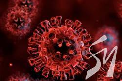 � ������ �� ���� ������� �������� 8 752 ������� COVID-19