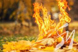 Дим від спалювання опалого листя шкодить здоров'ю Дим від спалювання опалого листя шкодить здоров'ю