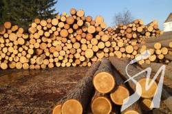 ��������� ������� ������������ �� ��������� ������� ��� ��������