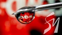 � ������ �� ���� ���������� 10 136 ����� ������� COVID-19