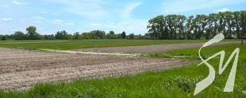 ����� �� �����������: ³� ������ �� ���� ����� ������ �� ������