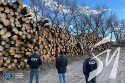 На Чернігівщині СБУ викрила корупційну схему збагачення чиновників комунального лісгоспу На Чернігівщині СБУ викрила корупційну схему збагачення чиновників комунального лісгоспу