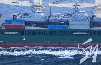   Ocean Grand      Island    