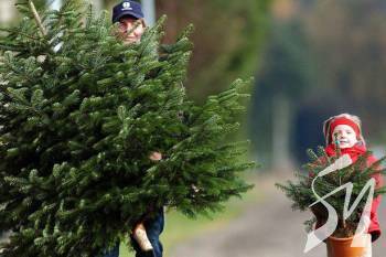 �������� ������ �� �����: �� �������� ��� ����� ��� �������? 