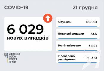 6 029   COVID-19      21  