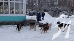 � ���� ��������������� �������� ���