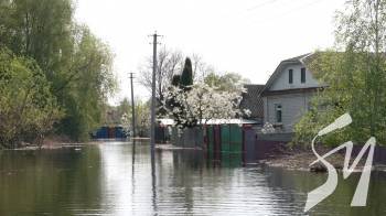 10 будинків затопило повністю, городи у воді: наслідки повені у селищі Макошине
