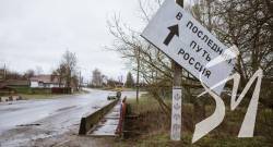 TikTok �� ������������: ������ ����� ������� �� ���������