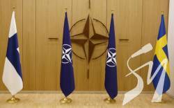 НАТО запросило Швецію і Фінляндію до Альянсу