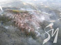 На Закарпатті – масштабна лісова пожежа, працюють літаки та вертольоти