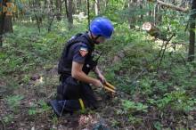 Піротехніки ДСНС знешкодили понад 45 тисяч боєприпасів і очистили 39 гектарів території Чернігівщини
