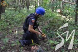 Піротехніки ДСНС знешкодили понад 45 тисяч боєприпасів і очистили 39 гектарів території Чернігівщини