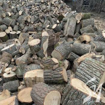 ����������� ����� ��� ������ ������������ ��������: ��� �� ���� �������� �� �����������