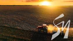 Посівна на Чернігівщині: аграрії засіяли майже 700 тисяч гектарів полів Посівна на Чернігівщині: аграрії засіяли майже 700 тисяч гектарів полів