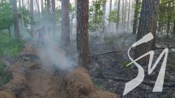 Лісову пожежу в прикордонні Чернігівщини, яку спричинили російські обстріли, загасили