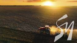 Вкотре рекордсмени кукурудза та соняшник: на Чернігівщині завершили весняну посівну кампанію-2023