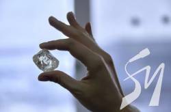 12     :       ,  ̲