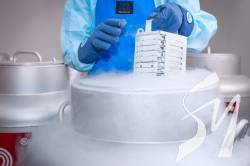 Рада схвалила закон про зберігання репродуктивних клітин військових Рада схвалила закон про зберігання репродуктивних клітин військових