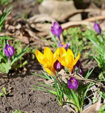 ����� � ��������. ����