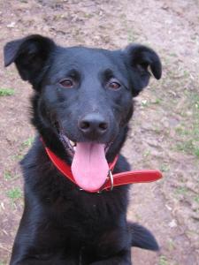 -  .  ,  ,  ,     ,    .    .  - ,  ,    .