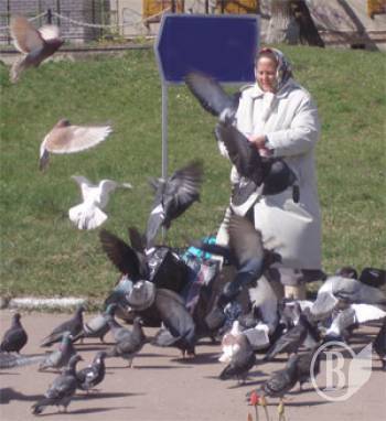 ��������� ������ �����A