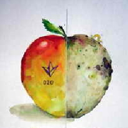 ����������� �������: ��� ������ � ����� ����������?