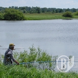 ���: ���� ����� � �������� ����������� ��� ��� �����?