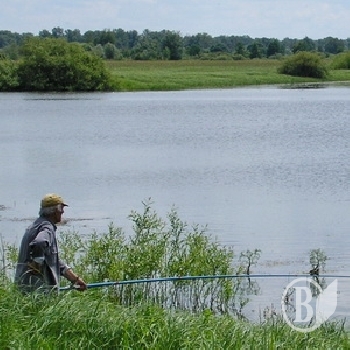 ���: ���� ����� � �������� ����������� ��� ��� �����?