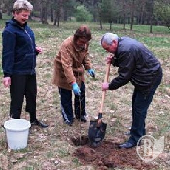 ��� ����� ����� ����� ������� ��� � �������� ���