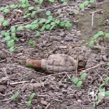 ĳ����� ������� ������� �� ��� ���������. ������������