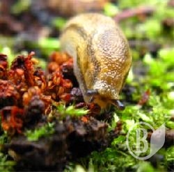 ������, � �� ������� �������! ������������