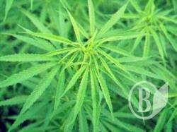 ����������� ������� �� �������