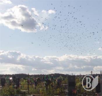 ���� ������ �� �����. �� �� �����