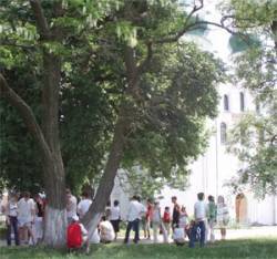 ������� �����. �����-�����