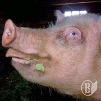 ������� ���� ������ �� 璿��