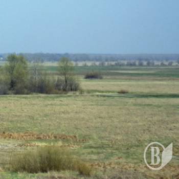 ���: ������ ����� ������������� �������?