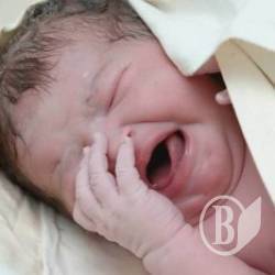 ����: �������-������