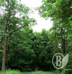 ���� ��� ���������!