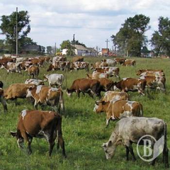 ���������� ��������� � �� �����������