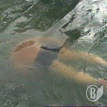 �������� �� ���: ��� ���������� �� ������� �� �����������