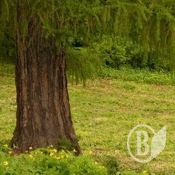 ����������������� ����� �� ���