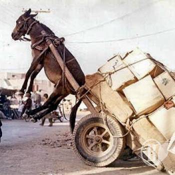 ������������� ���� ���� ����������: ������� ��� � ��������