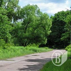 ����: ���������� ���� ���. �����