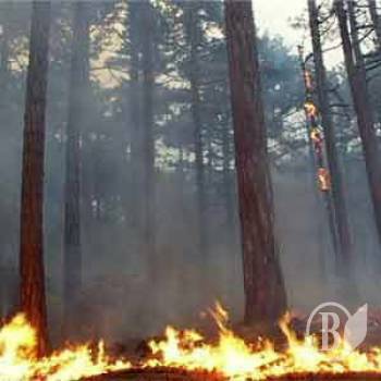 ������ ���