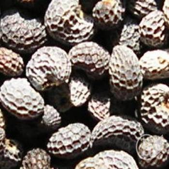 ������� ���� � ������ �����������