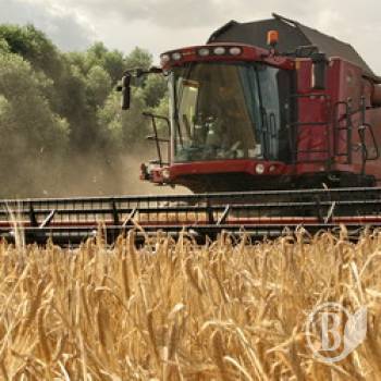 �����. ����� ��-���������. ������������