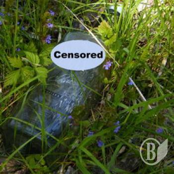 ���� ��������� � ��������. � ������ ���