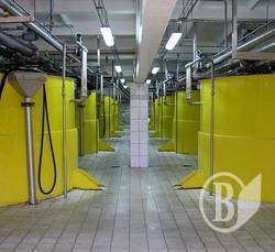 ���� ����� ������ ������� ���� ����� � �������� ��� ��� ��������