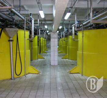 ���� ����� ������ ������� ���� ����� � �������� ��� ��� ��������