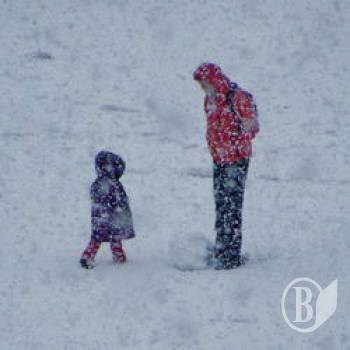 �����, ����, ����! � �� �������. ������������